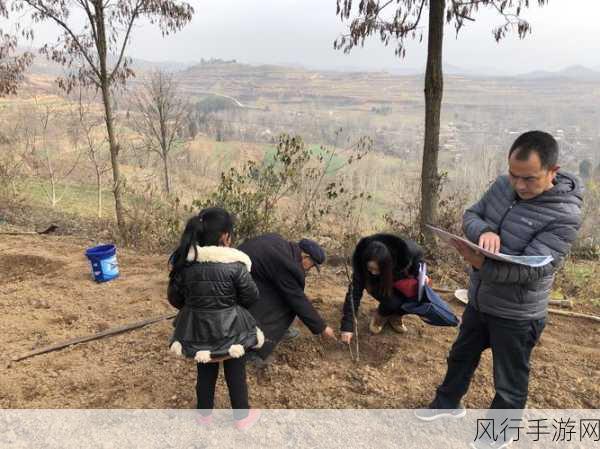 探寻核桃种苗的输出胜地——蚂蚁新村