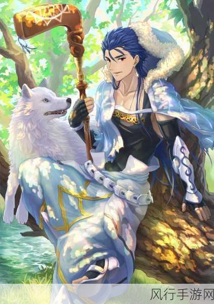 命运冠位指定FGO，深度解析库丘林角色经济影响