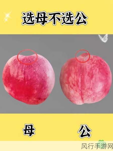 水果公母之分，真的靠谱吗？