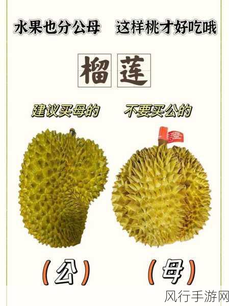 水果公母之分,真的靠谱吗?