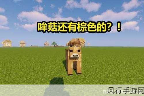 我的世界经济探索，牛与蘑菇牛的奇妙转换