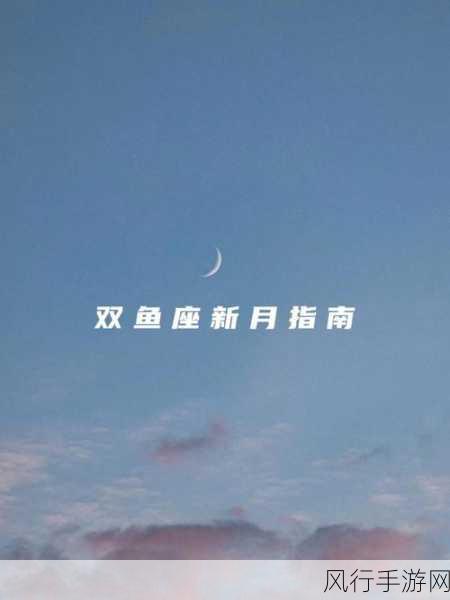 新月同行蓝色站台,高效通关攻略与财经数据揭秘