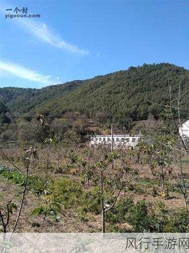 陕西洛南县,八山一水一分田孕育的产业奇迹