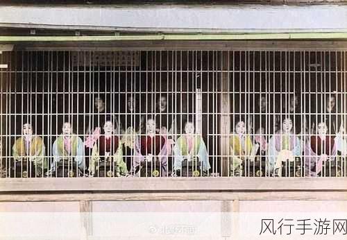 日本精品乱码-探索日本独特魅力的精品文化与艺术之旅