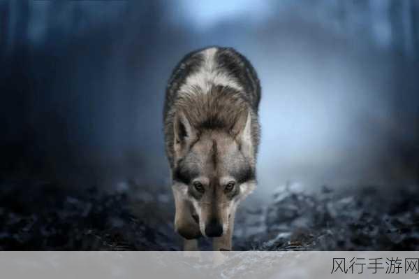四十如虎50坐地能吸土的起源-四十如虎、五十坐地能吸土的文化源流探究与解读