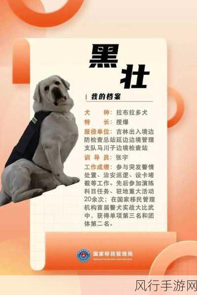 柯基犬的工作犬使命