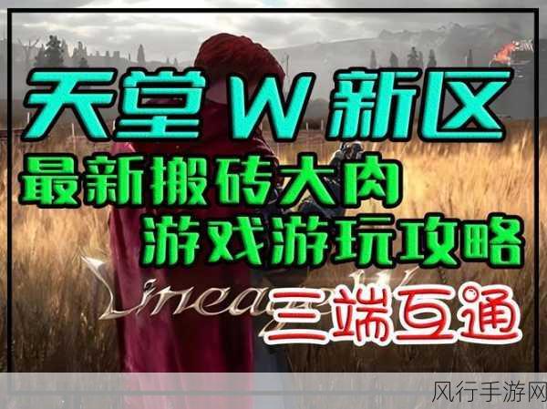 探索天堂 W 区服，找准你的游戏归属