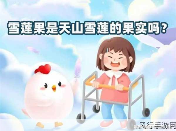 蚂蚁庄园里的雪莲果之谜