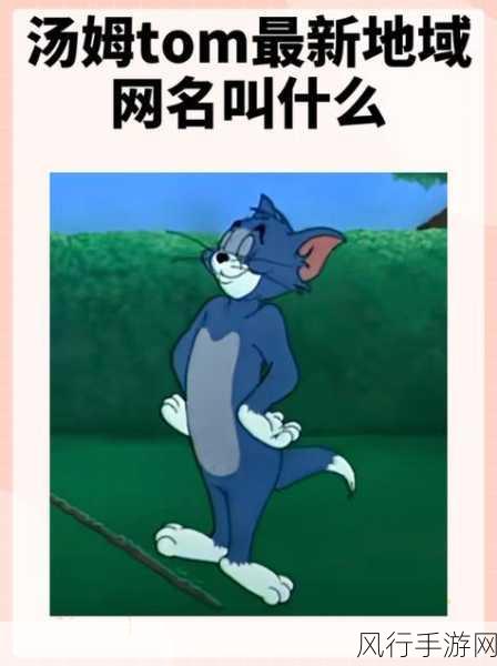 tom地域网名入口在哪-拓展Tom地域网名入口的详细步骤与技巧分享