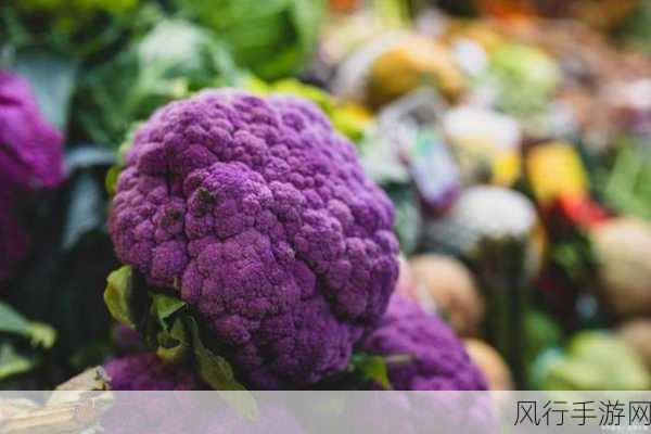 清炒紫色花菜的调料秘诀——蚂蚁庄园 6 月 28 日的探索