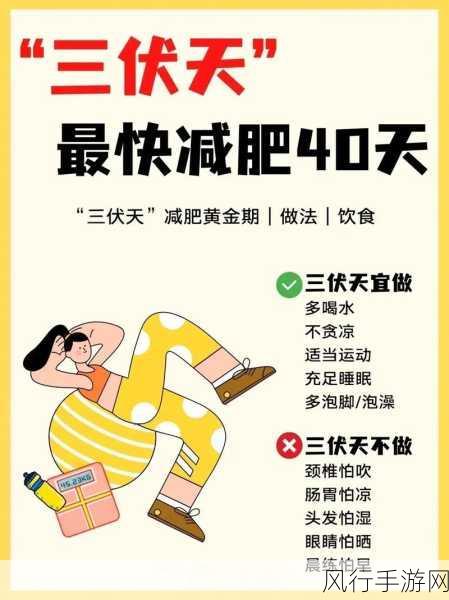 三伏天，减肥黄金期的奥秘探寻