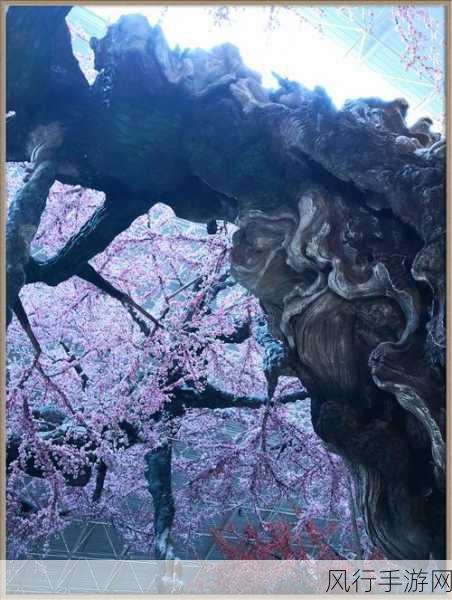 桃花洞口已是溪水潺潺故事-桃花洞口水声潺潺,故事绵延如梦幻之旅