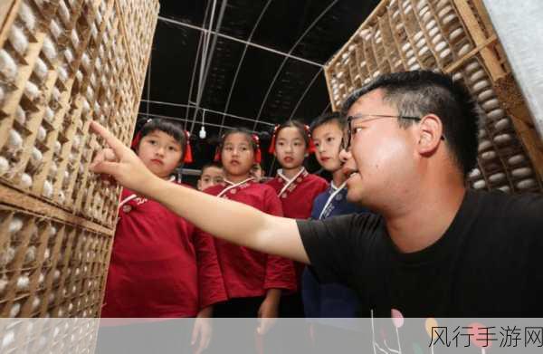 探寻古代学生开学的学费奥秘