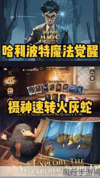 哈利波特魔法觉醒，解锁最强巫师实战攻略与技巧背后的经济密码
