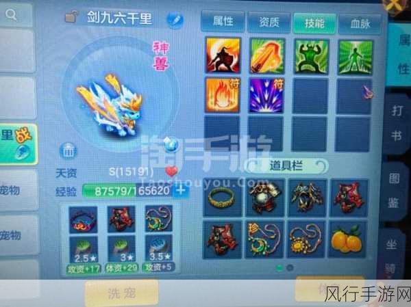 神武手游宠物护符深度攻略,解锁宠物战力新高度