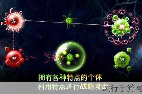 繁殖战争破解版最新版本-拓展繁殖战争破解版:全新策略与刺激体验的战斗之旅
