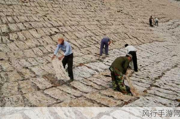探寻宣纸吸水性之谜，哪种宣纸更胜一筹？