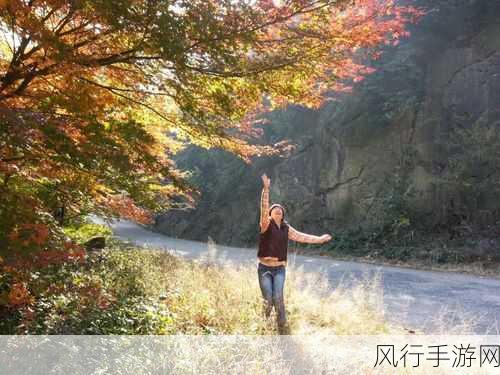 我爱搞G51-探索我热爱的G51世界,尽情享受无限乐趣!