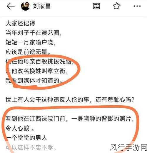 黑料网曝门-“黑料网曝门新奇事件,背后真相引发热议与关注”