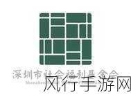探究基金会组织特点的奥秘