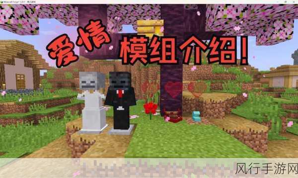 探索我的世界双人联机之旅