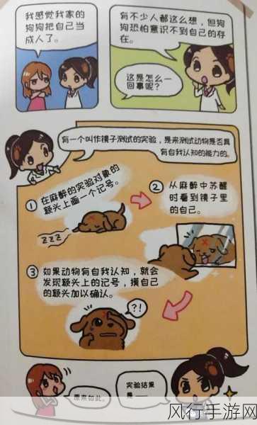 探索猫狗的自我认知之谜,能否辨认镜子里的自己