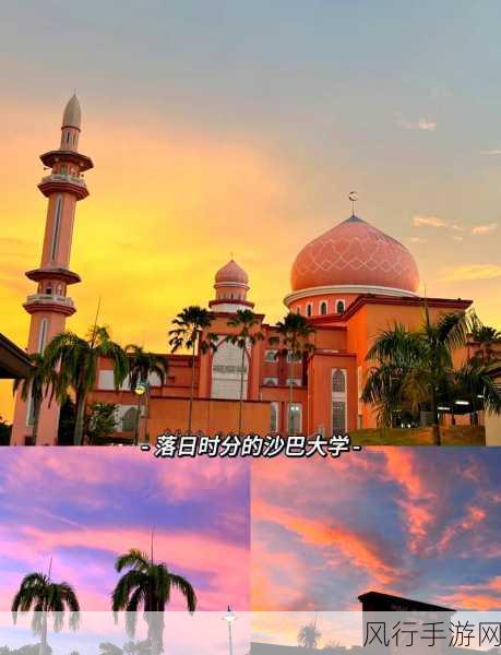 仙踪林东南亚-探索仙踪林在东南亚的神秘魅力与自然之美