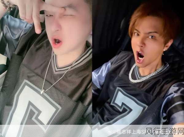 罗志祥草莓视频免费播放下载-罗志祥草莓视频完整版免费在线观看与下载指南
