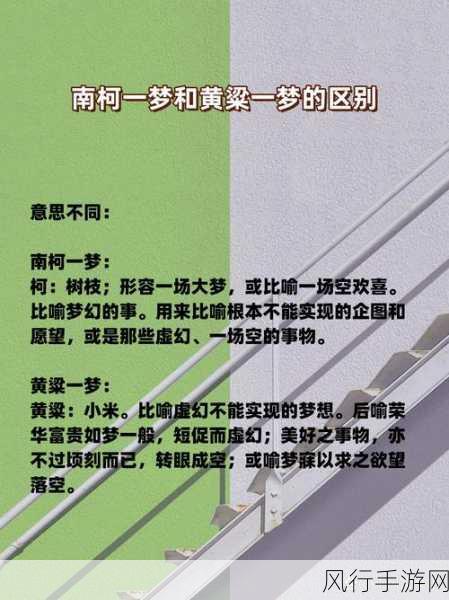探寻南柯一梦,南柯背后的深意与启示