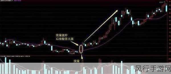 一马双跨txt折枚针-一马双跨:折枚针的创新与实践探讨