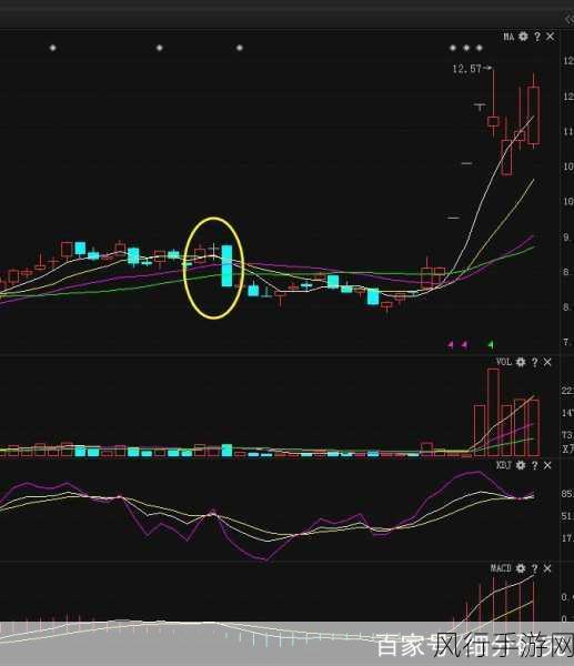 一马双跨txt折枚针-一马双跨:折枚针的创新与实践探讨