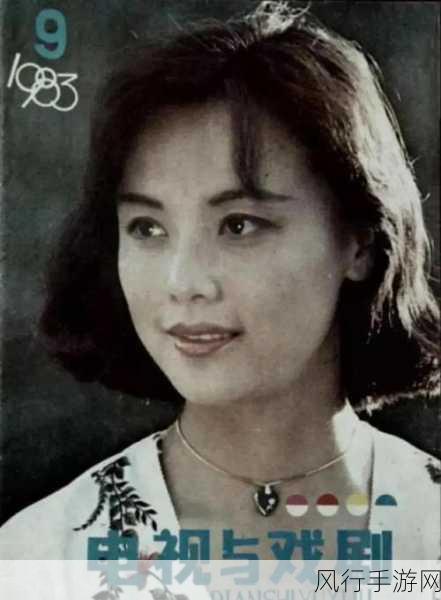 沈阳老阿姨最后巅峰时刻-沈阳老阿姨的传奇人生:巅峰时刻与不屈精神