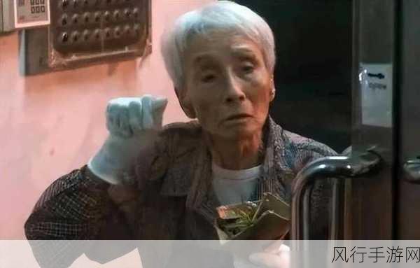 沈阳老阿姨最后巅峰时刻-沈阳老阿姨的传奇人生:巅峰时刻与不屈精神