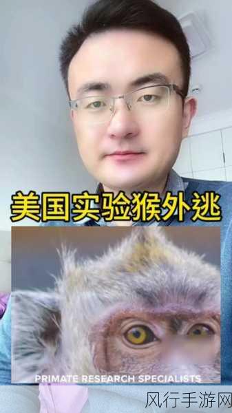 二人生猴子全程不盖被子图片大全-二人共享温馨时光:无被子猴子的趣味瞬间大集合