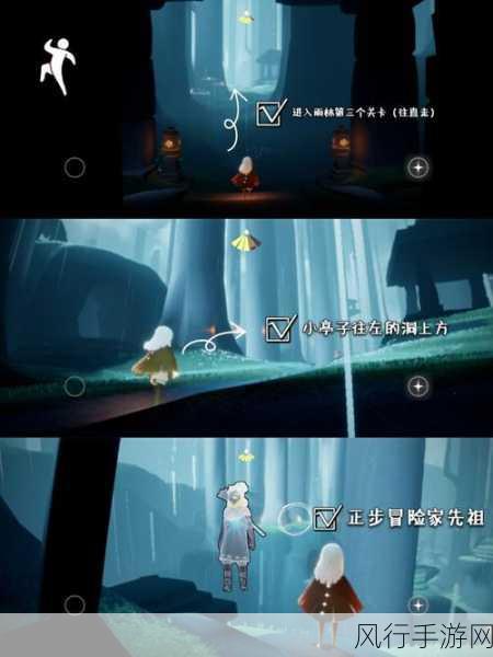 光遇粉红海探索指南,解锁雨林秘境的财富密码