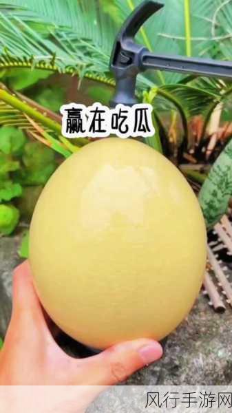 今日吃瓜必吃大瓜 在线观看-今日精彩瓜闻,必看新剧大揭秘!