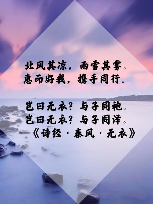 探寻中契阔的深邃含义