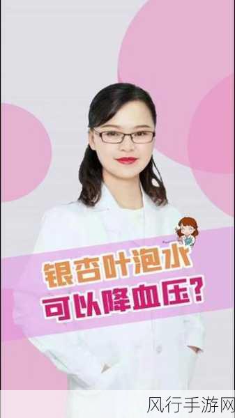 银杏叶泡水喝降血压?真相大揭秘!