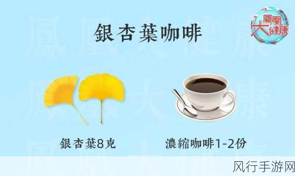 银杏叶泡水喝降血压?真相大揭秘!