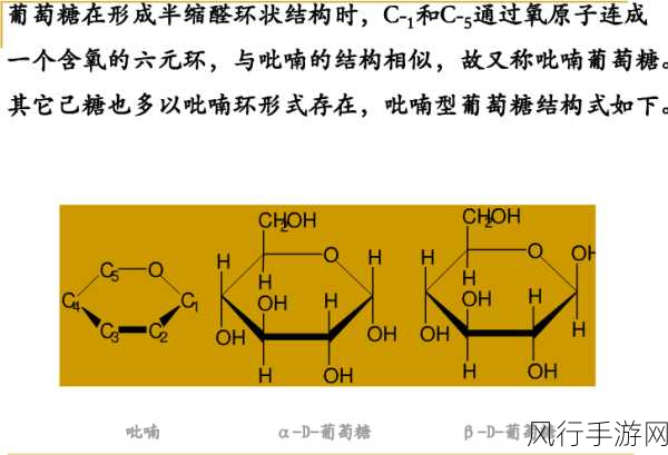 探寻葡萄糖命名的奥秘