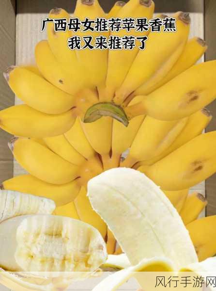 香蕉频蕉app-“香蕉频蕉：畅享美味与健康的水果社交平台”