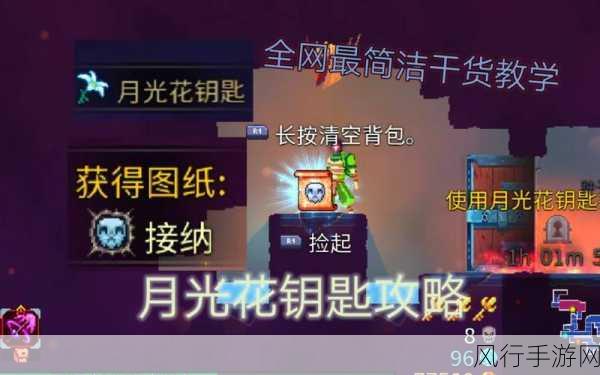 重生细胞陵墓白花与月光花钥匙探寻指南