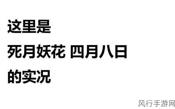 朝阳群众51cgfun最新官网消息-朝阳群众51cgfun官网最新动态及活动更新解析