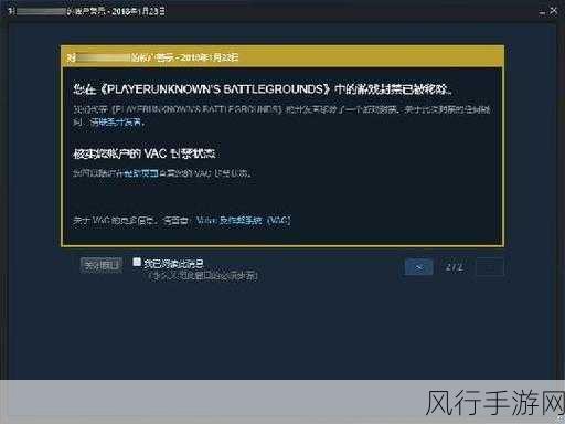 卖pubg外挂-揭秘PUBG外挂市场：背后的黑暗交易与影响