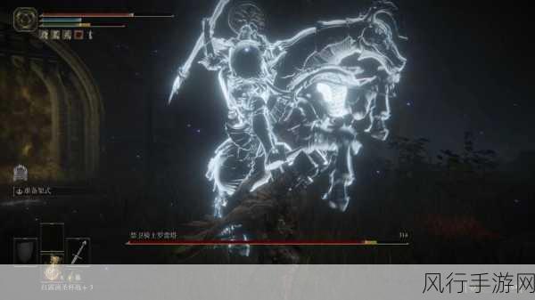 战胜艾尔登法环暗黑骑士的秘诀