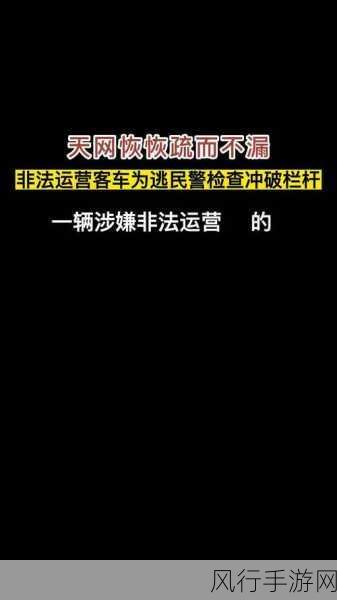 天网恢恢正确答案一肖-天网恢恢，疏而不漏：揭示社会正义的深刻内涵与启示