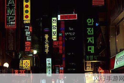 好看的韩国三色电费-绚丽三色电费：韩国街头夜景的五彩斑斓