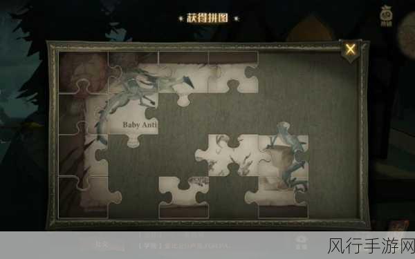 哈利波特的几秒钟之差与魔法觉醒拼图之谜