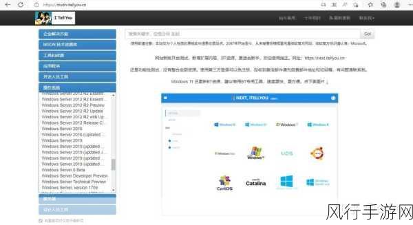 日本windowsserver下载-全面解析日本Windows Server下载渠道及使用指南