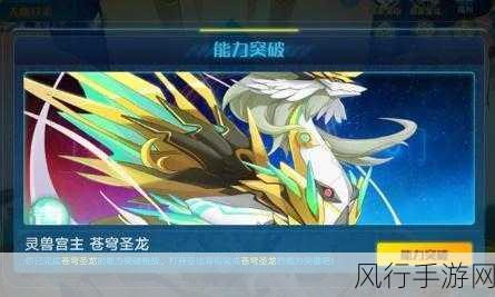奥拉星手游苍穹圣龙培养价值深度剖析,灵兽宫主实力解读